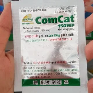 Comcat mai vàng