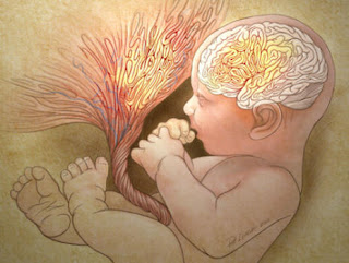 Abnormal placental folds signal autism risk at birth. (Credit: Original illustration by Patrick Lynch, Yale University)