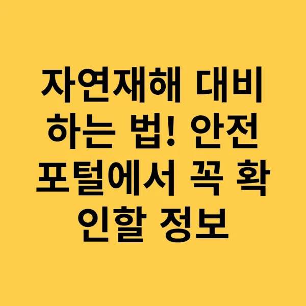 자연재해 대비하는 법! 안전포털에서 꼭 확인할 정보