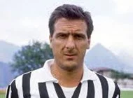 scirea