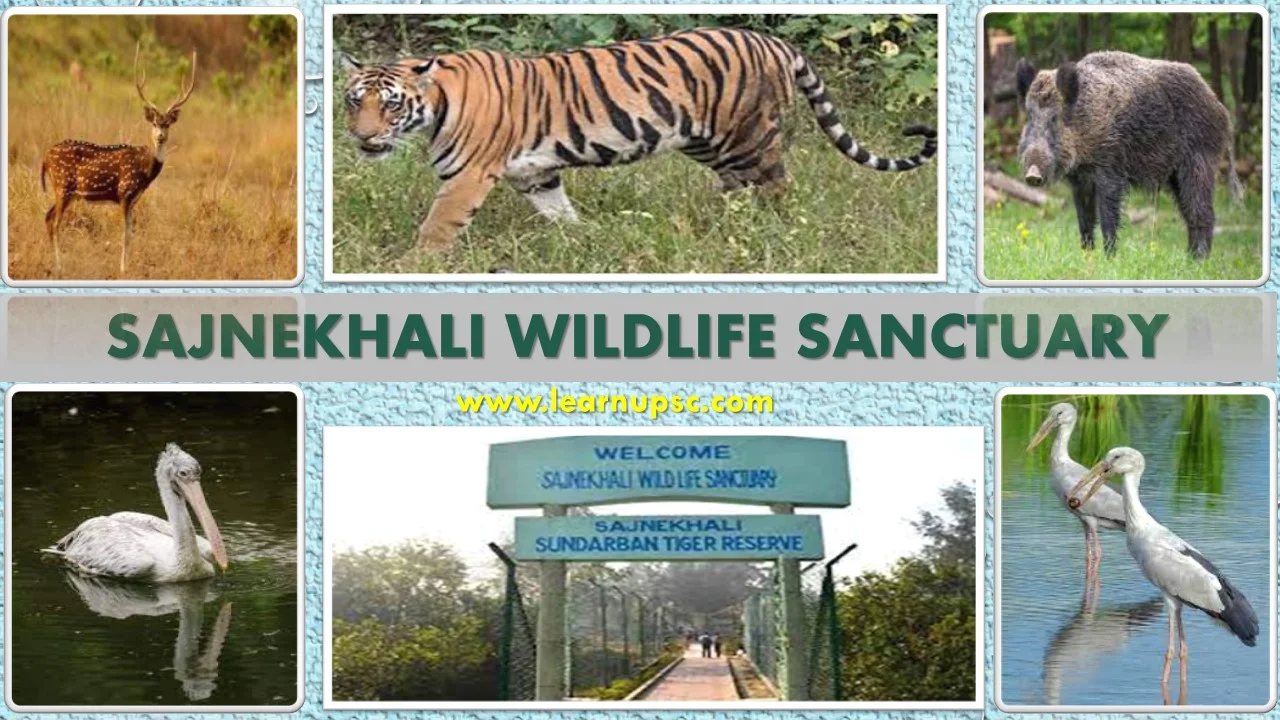 Sajnekhali Wildlife Sanctuary