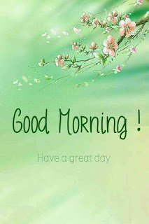 Good Morning  Wishes For Facebook