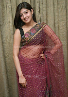 Pranitha, hot, navel, show, in, saree, sexy, photo, galley