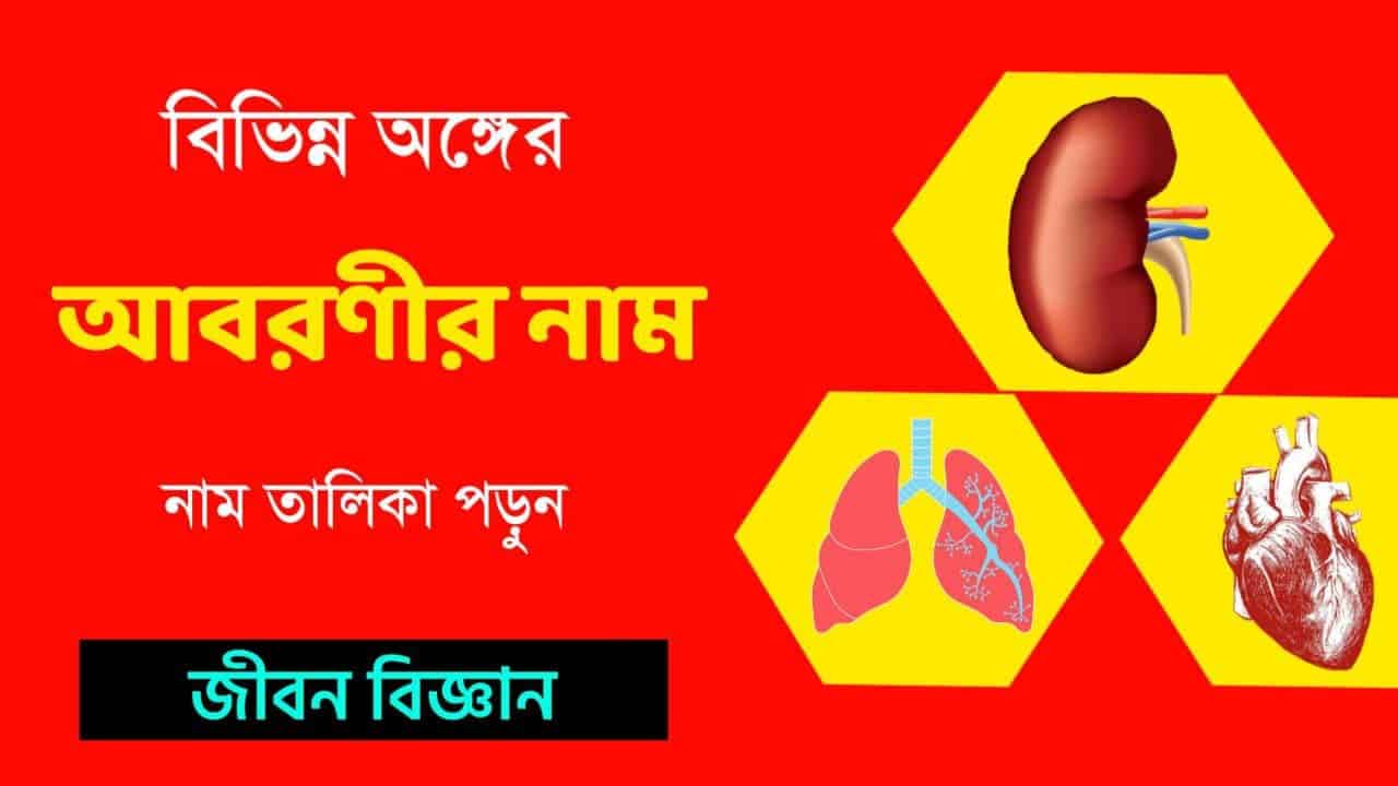 বিভিন্ন অঙ্গের আবরণীর নাম || List-of-Covers-of-Organs