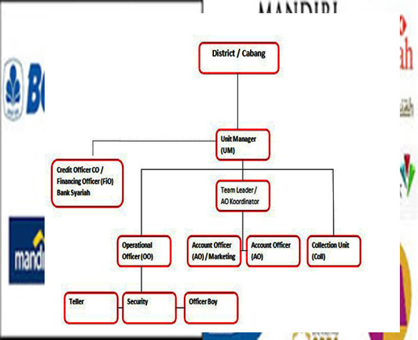 Struktur Organisasi Perbankan MIkro ~ natinedJs