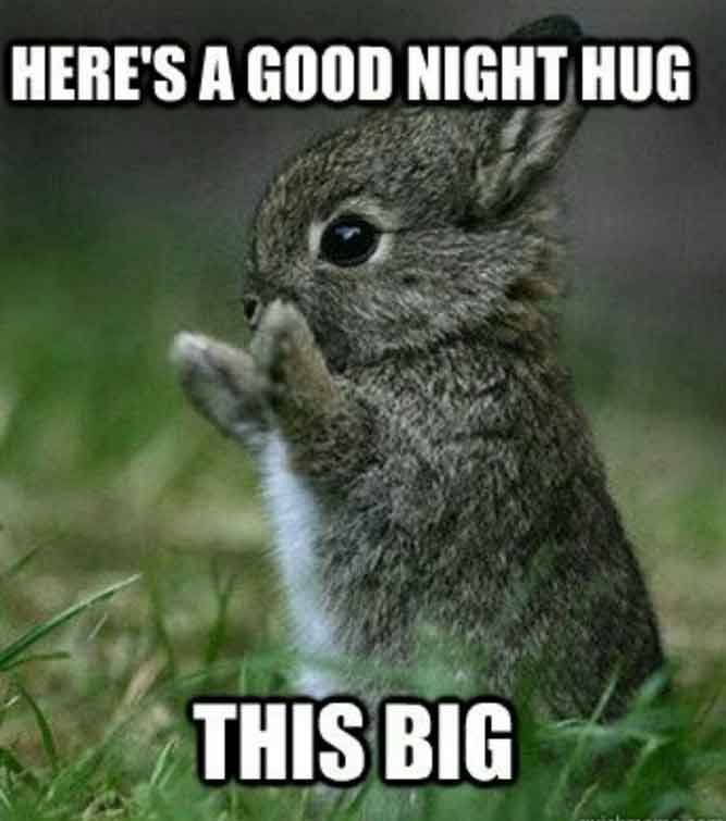 Here's a good night hug, this big! - Funny good night memes pictures, photos, images, pics, captions, quotes, wishes, quotes, sms, status, messages.