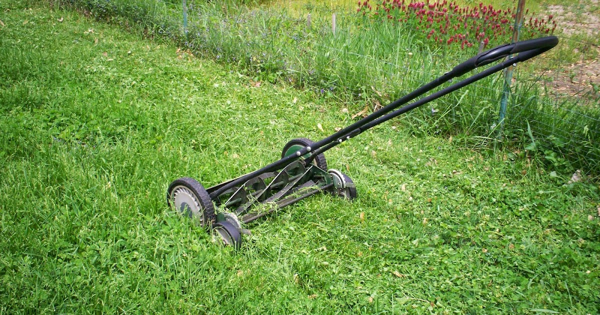 Living Low in the Lou: Reel-ly mowing the lawn