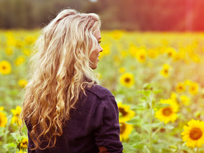 fotos de girasoles en campos