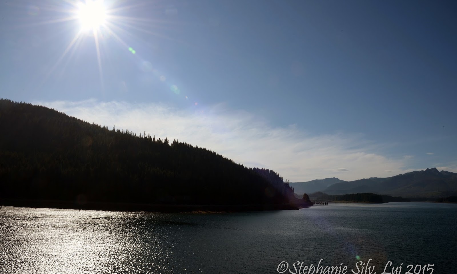 Icy Strait Point | Bear Search & Whale Watching