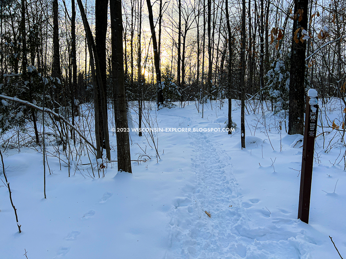 snow covered forest and trail