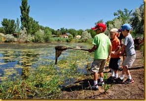 PondScooping