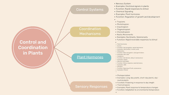 Control And Coordination Class 10 Notes