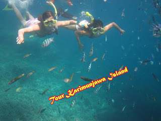 tour karimunjawa