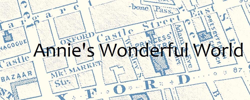 Annie's wonderful world