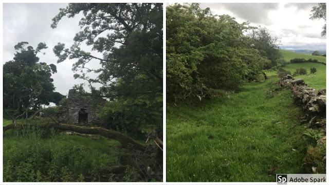 ruined farm and sunken lane