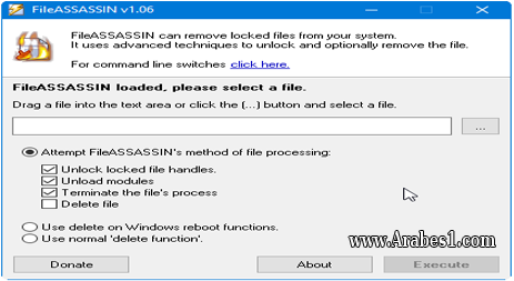 حذف الملفات الغير قابلة للحذف بسبب فيروسات FileAssassin