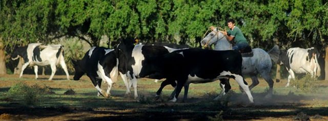 argentina052957mexarg