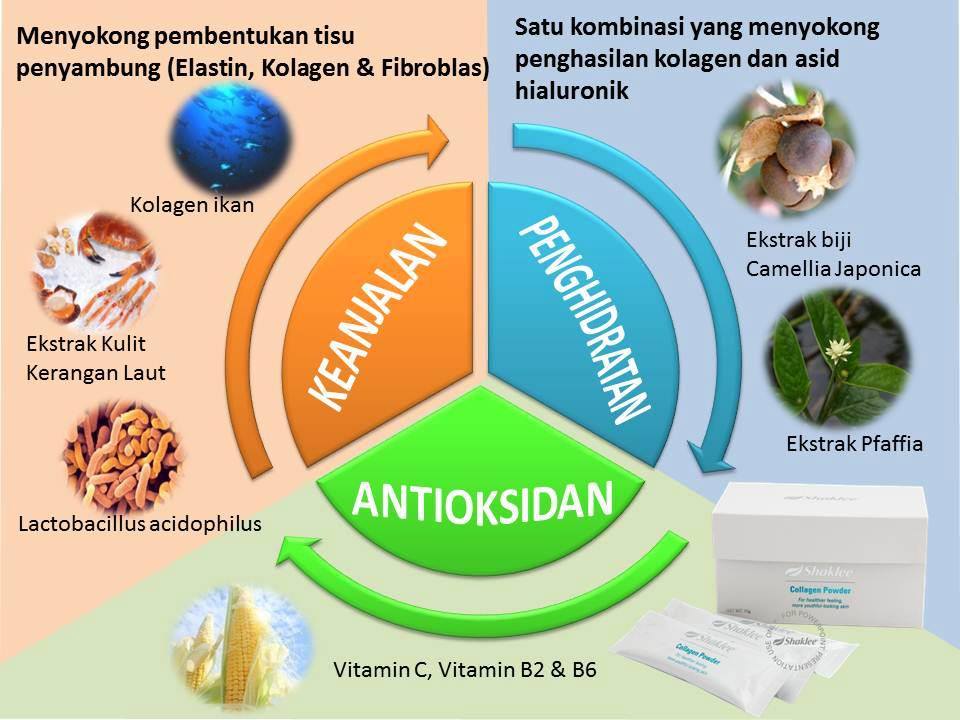 http://www.kateginting.com/2017/05/kolagen-kurangkan-masalah-sakit-sendi-lutut.html