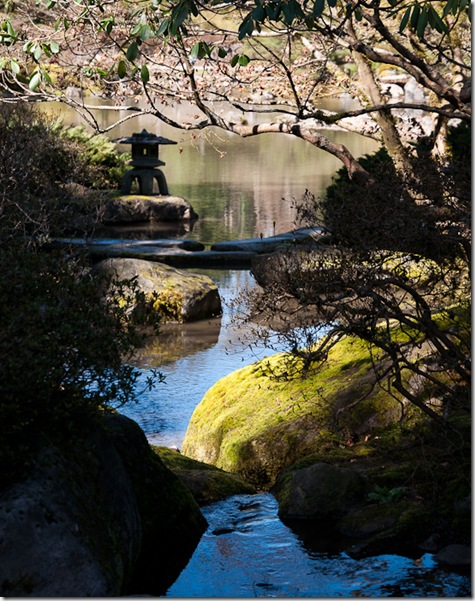 Japanese Teagarden 2-7