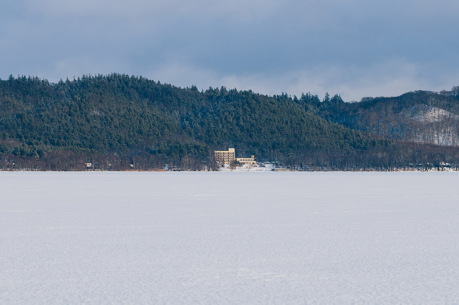 Jezioro Żarnowieckie, ryby, przerębel