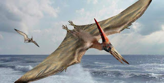 Pteranodon