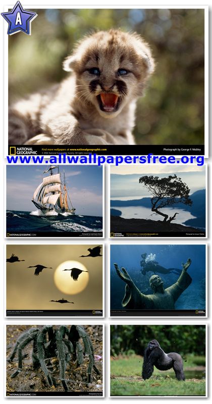 500 National Geographic Wallpapers 1024 X 768 [Set 5]