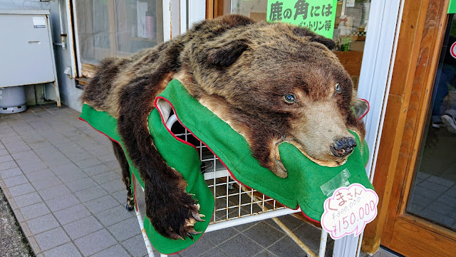 オシンコシンの滝 知床 北海道