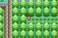 Pokemon Chroma Screenshot 07