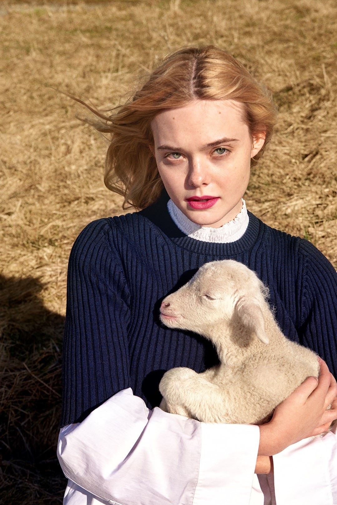 Elle Fanning On Dazed 白い肌の異常な夜 をリメイクした ザ ビガイルド が 限定公開で好調なスタートを切ったエル ファニング Cia Movie News