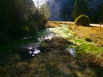 El estrecho de San Blas, en el nacimiento del río Júcar / Xúquer. Autor: Miguel Alejandro Castillo Moya