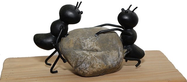 Two Ants Trying to Move a Boulder