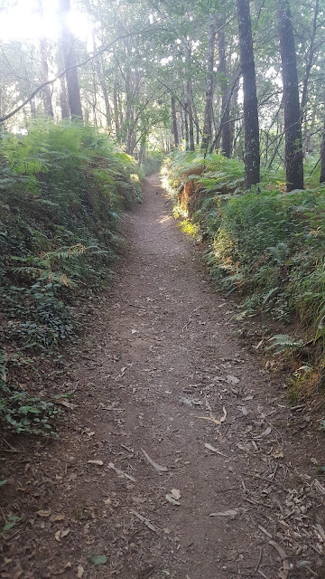 Segunda etapa del Camino de Santiago Inglés