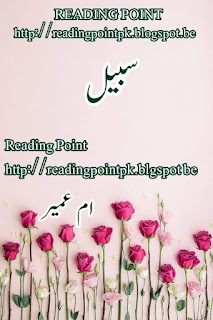 Sabeel by Umme Umayr Complete Online Reading