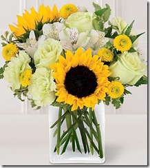 C11-4152_330x370