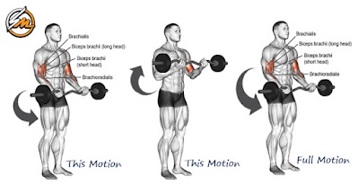 5 Biceps Exercises That Build Big Guns