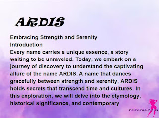 meaning of the name "ARDIS"