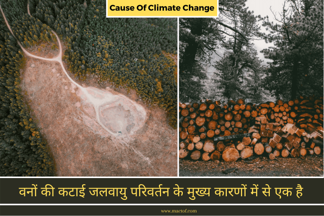 deforestation_and_climate_change