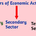 Sectors of Economic Activities Class 10