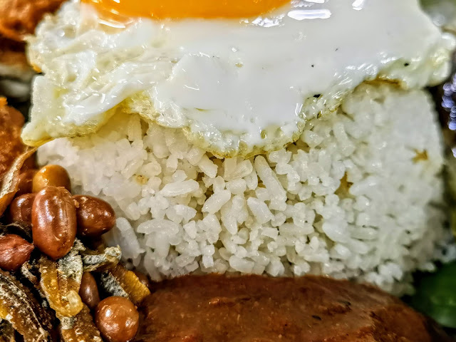 Nasi_Lemak