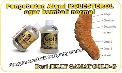 Pengobatan Alami Kolesterol Agar Kembali Normal