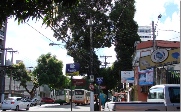 DSC07649
