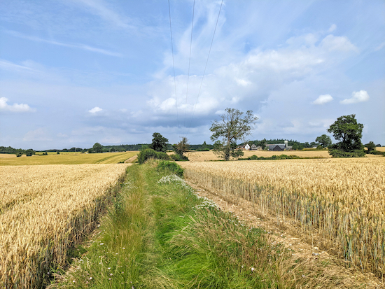 Offley footpath 4 between points 5 & 6