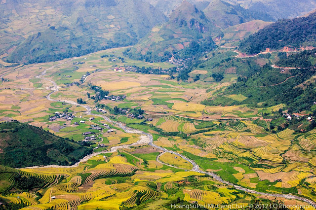 Mu Cang Chai terraced fields