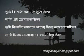 Love Sad quotes bangla SMS