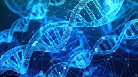 Decoding Genetics: Understanding Heredity and Variation