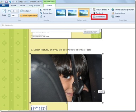 watermark pictures, quick way to watermark pictures, easy way to watermark pictures, simplest way to watermark your pictures, watermark pictures tutorial