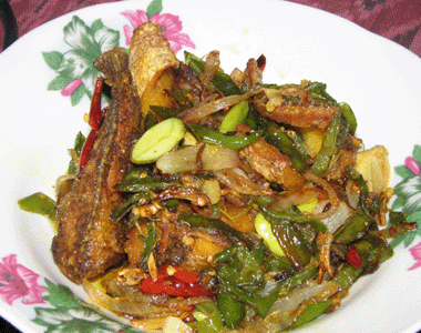 Ikan Haruan In English : Anim Agro Technology: BAGAI HARUAN DIDALAM TUAR : Wa 0813 3138 6118 ikan cupang ekor bulan, ikan cupang eropa, ikan cupang english.