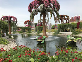 Miracle Gardens, Dubai flowers