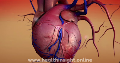 Importance Of Heart Health And The Prevalence Of Heart-related Diseases