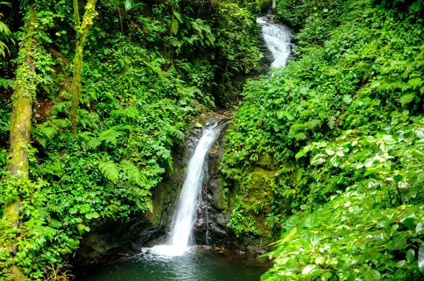 Monteverde Cloud Forest Reserve Costa Rica